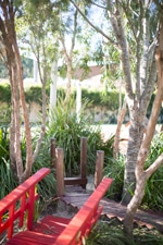 Garden – Learning Centre in Cameron Park, NSW Garden - Learning Centre in Cameron Park, NSW